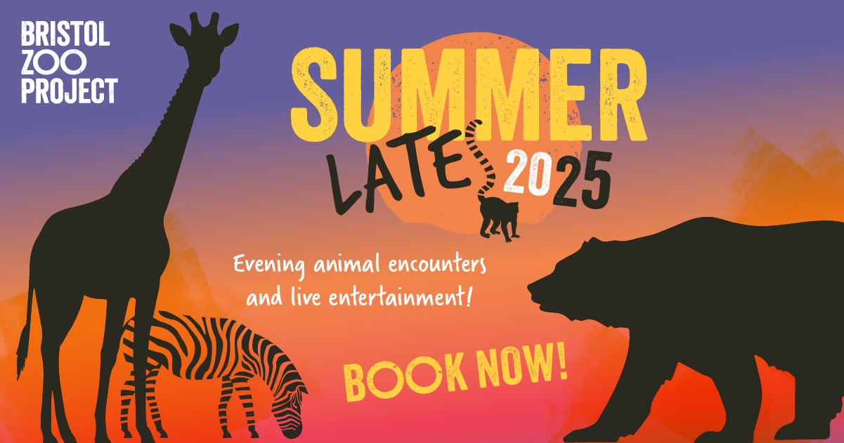 COMPETITION TIME WITH BRISTOL ZOO PROJECT!